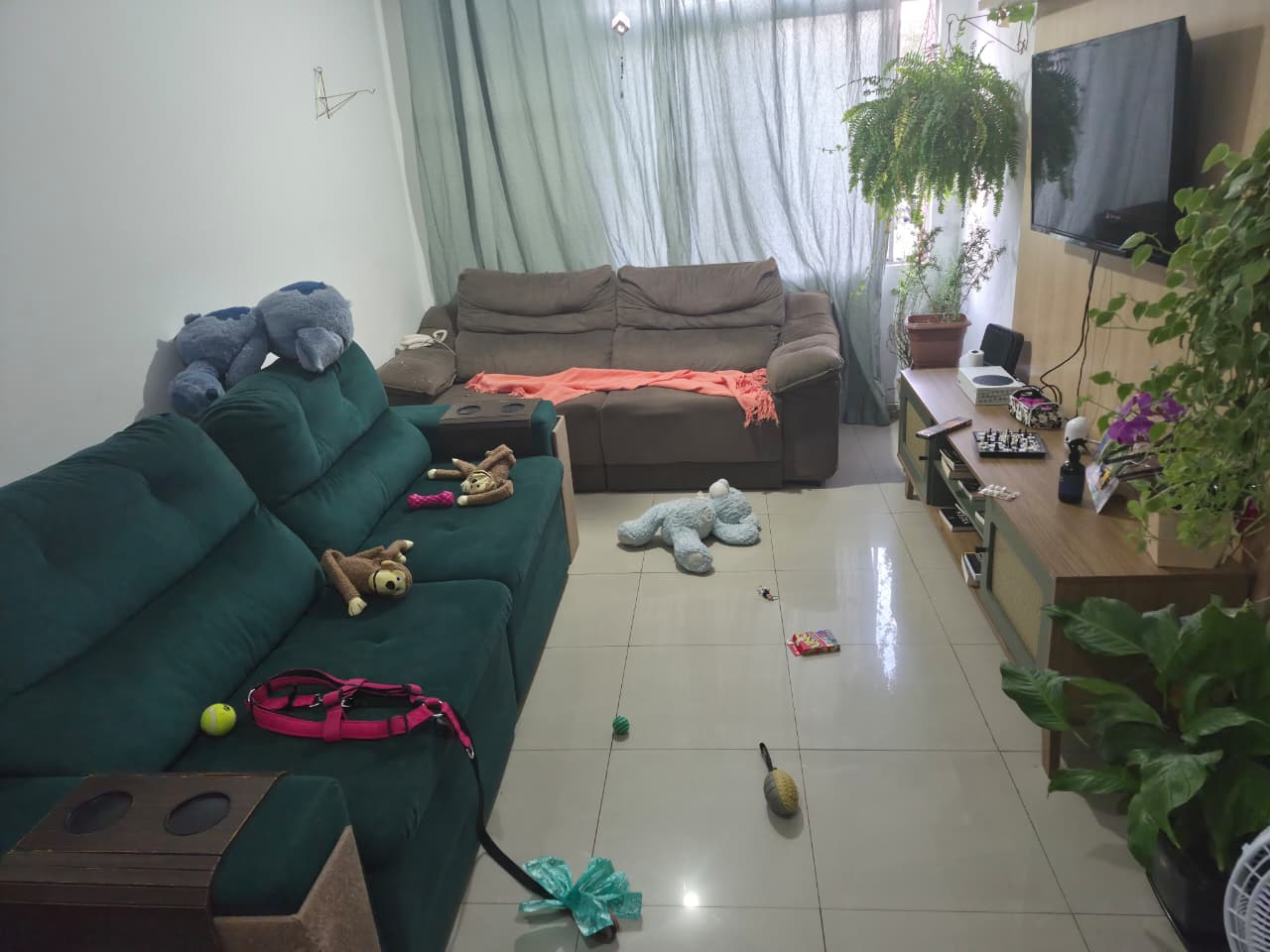 Antes 1 — sala antes da limpeza e organização